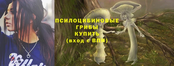 альфа пвп Инта
