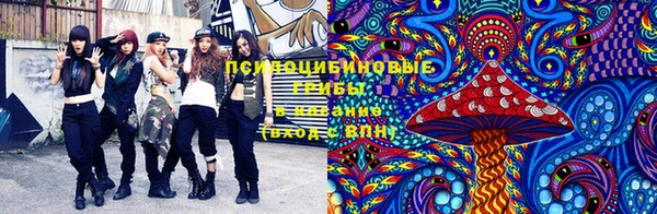 MDMA Инсар
