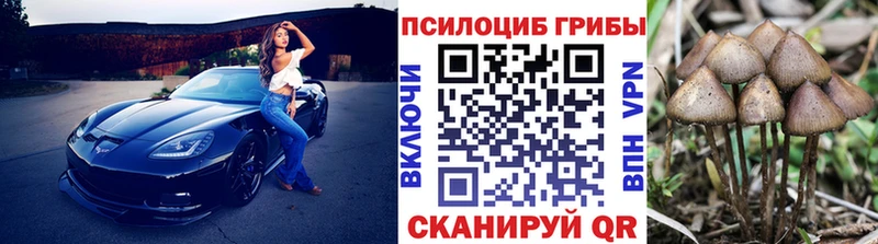 Галлюциногенные грибы Psilocybine cubensis Покров