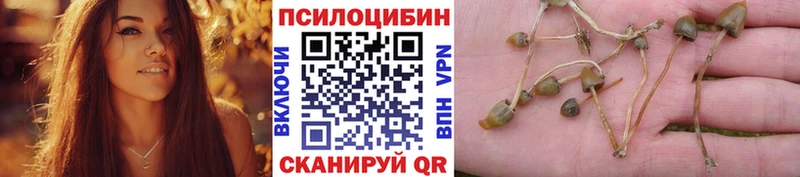 Псилоцибиновые грибы MAGIC MUSHROOMS  Купить закладки  Покров 